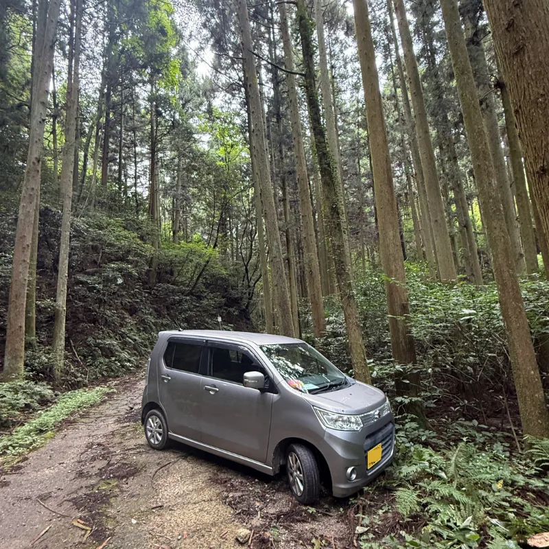 山林での脱輪救出